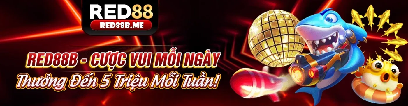 Chính sách Cookie 383sports – Bảo mật thông tin người dùng
